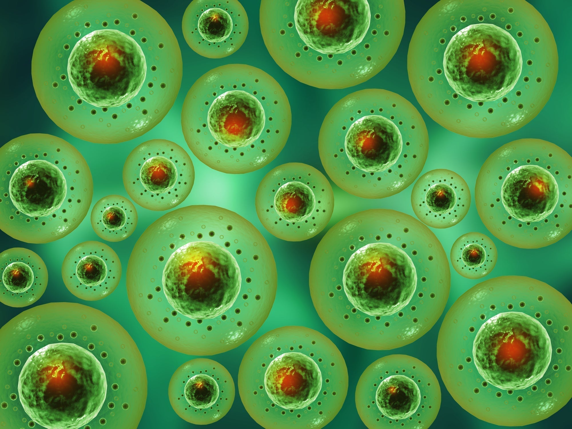 What are Zombie Cells?