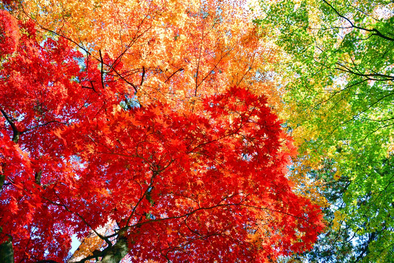 Skincare for Different Seasons