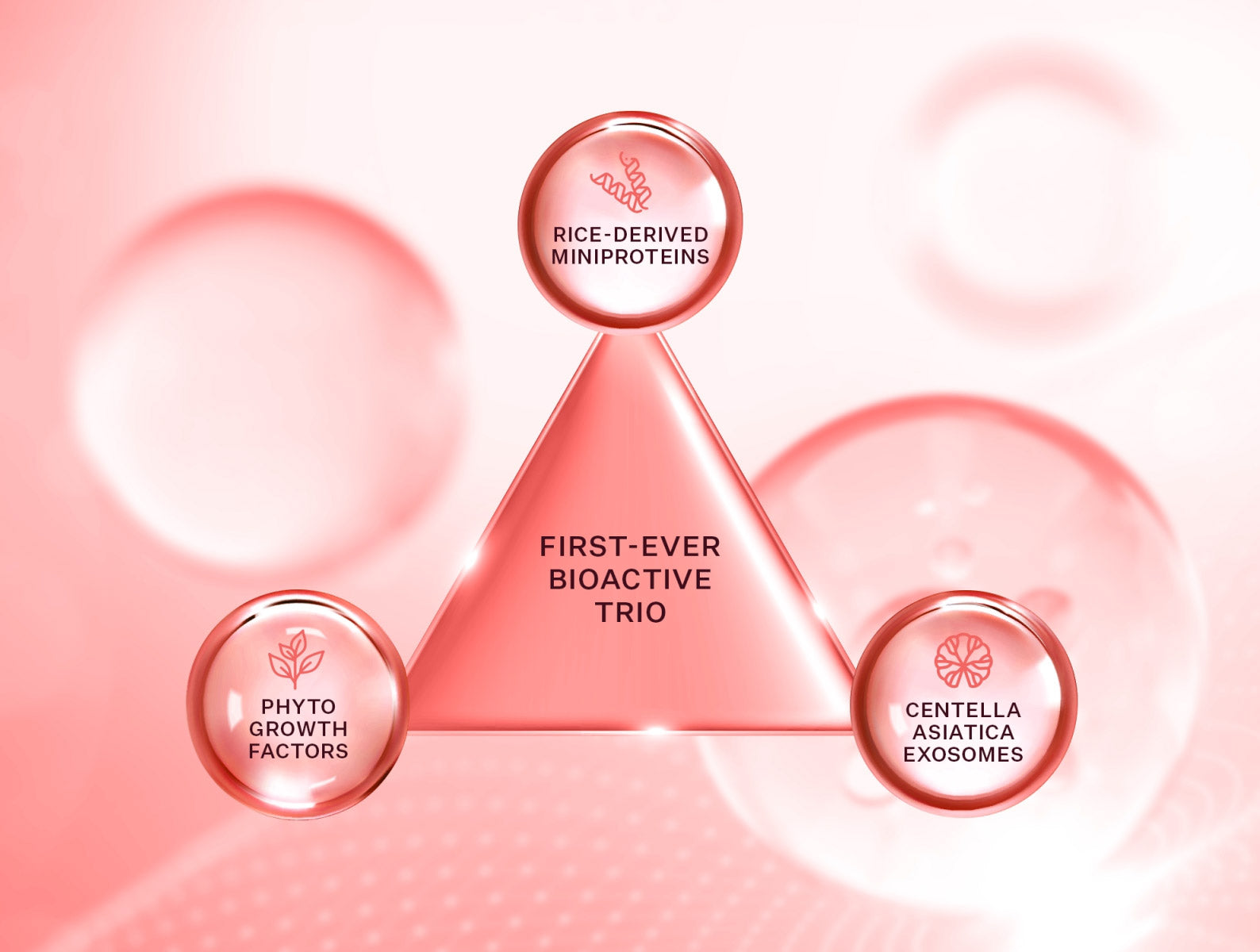 MiniProtein Exosome Bioactive Ampoule - Collagen Skin Repair